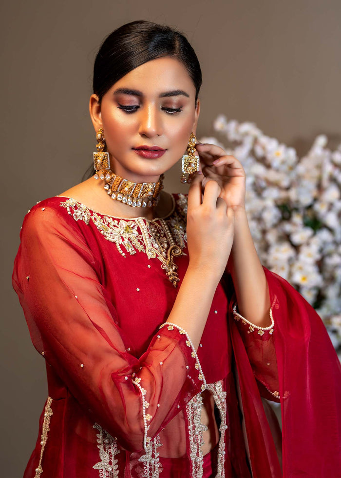 AR2068 - Afsana Festive Formals 22' by Ahmad Raza