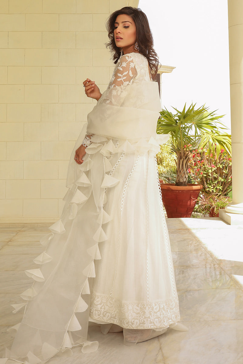 MORNING GLORY - Ansab Jahangir