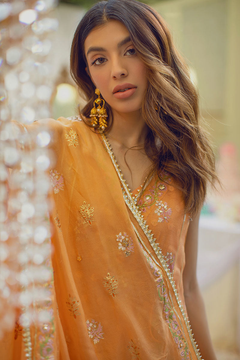 Orange Crush - Luxe Pret Ansab Jahangir