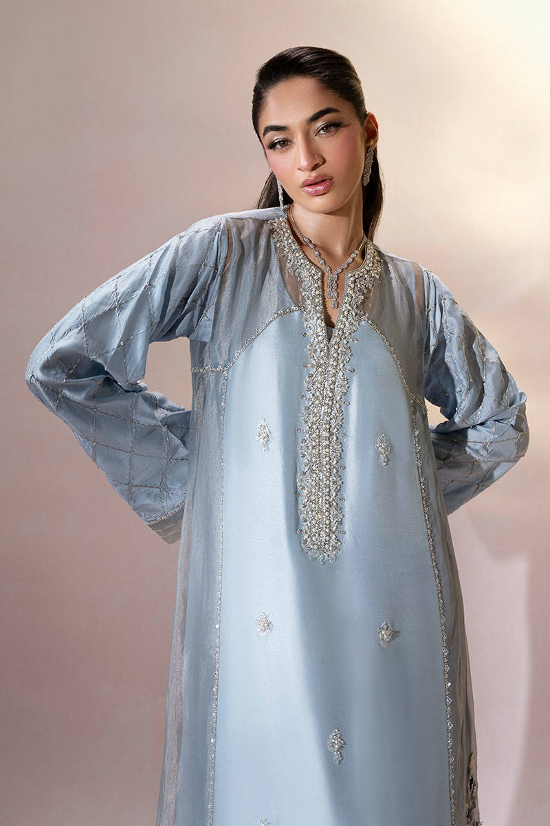 Blue Bird - Love in the Air by ZAINAB SALMAN