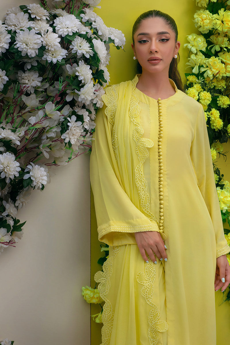 SUNNY CITRUS - Eid Festive 23 by Ansab Jahangir