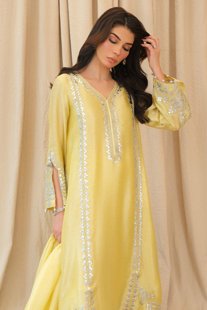 Ziya with pants - Eid Festive 25 by Farida Hasan