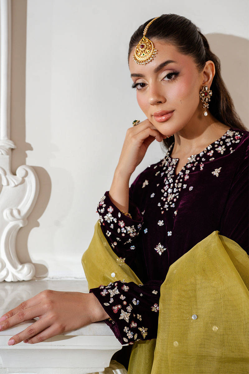 Muted Rose - Velvets Soiree by ZAINAB SALMAN