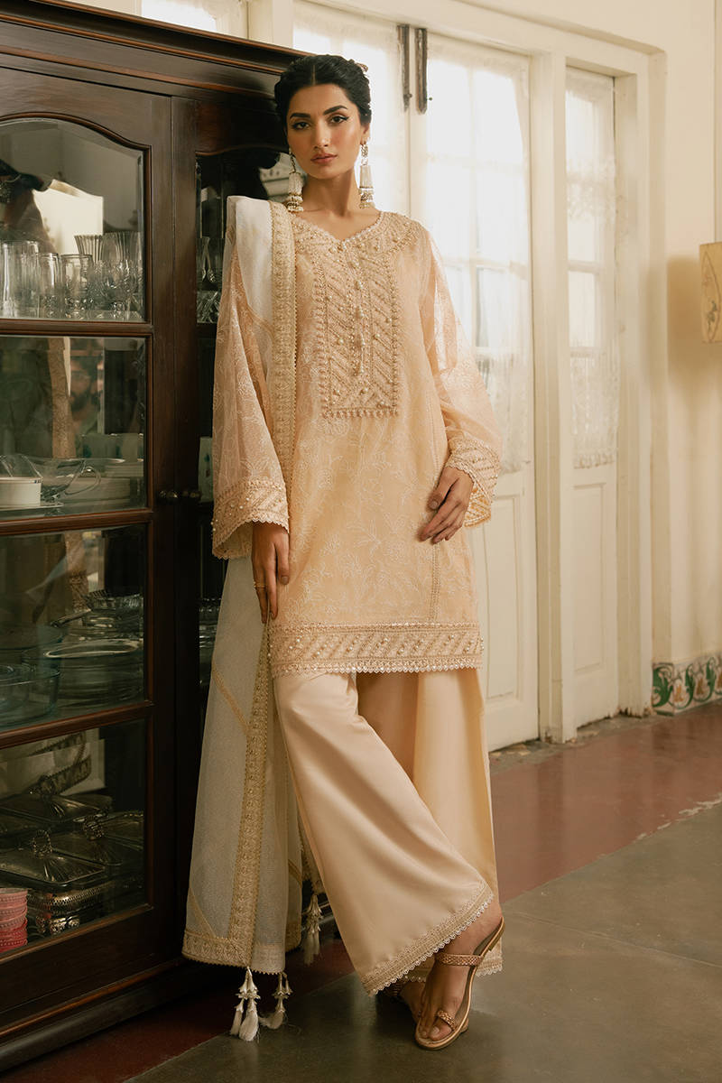Ayzal - Ashiyana Festive Edit Collection 25 by MNR
