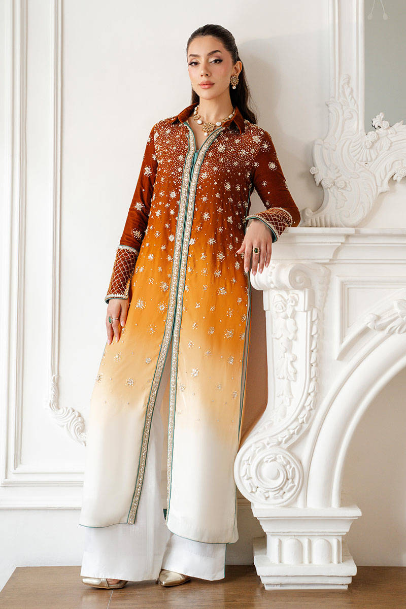 Twlight Ombre - Velvets Soiree by ZAINAB SALMAN