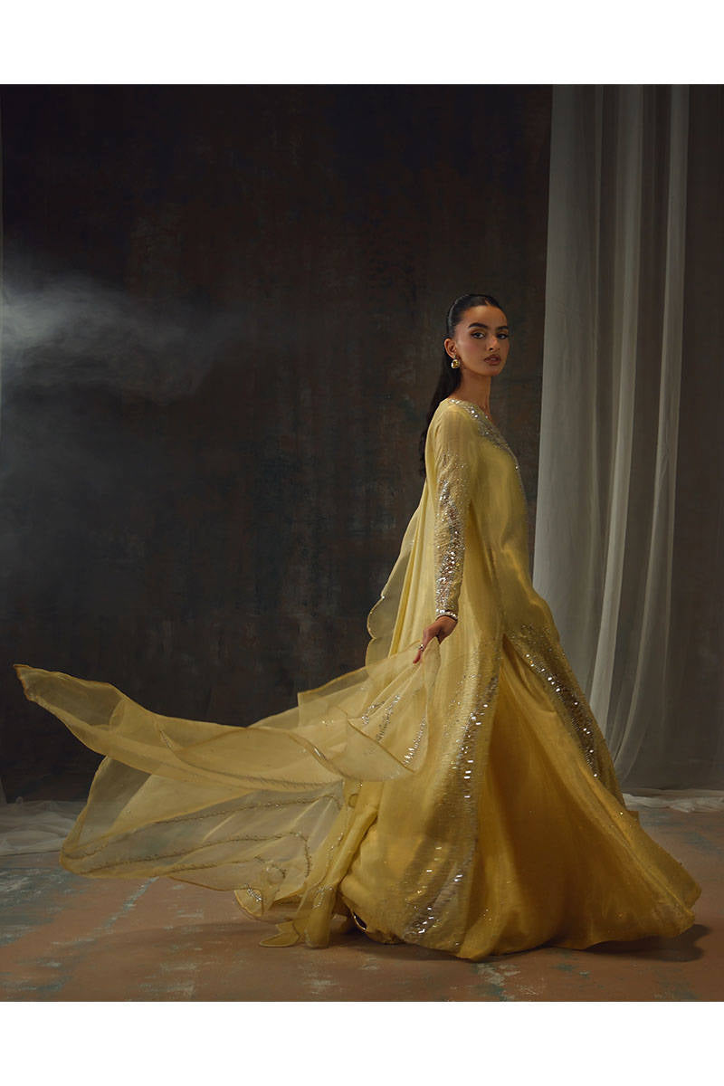 Gold Starburst - Setareh by Farida Hasan