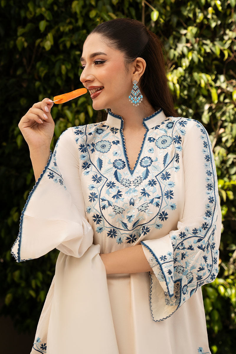 Dani - Sorbet Stories Eid Festive 25 by Ansab Jahangir Studio