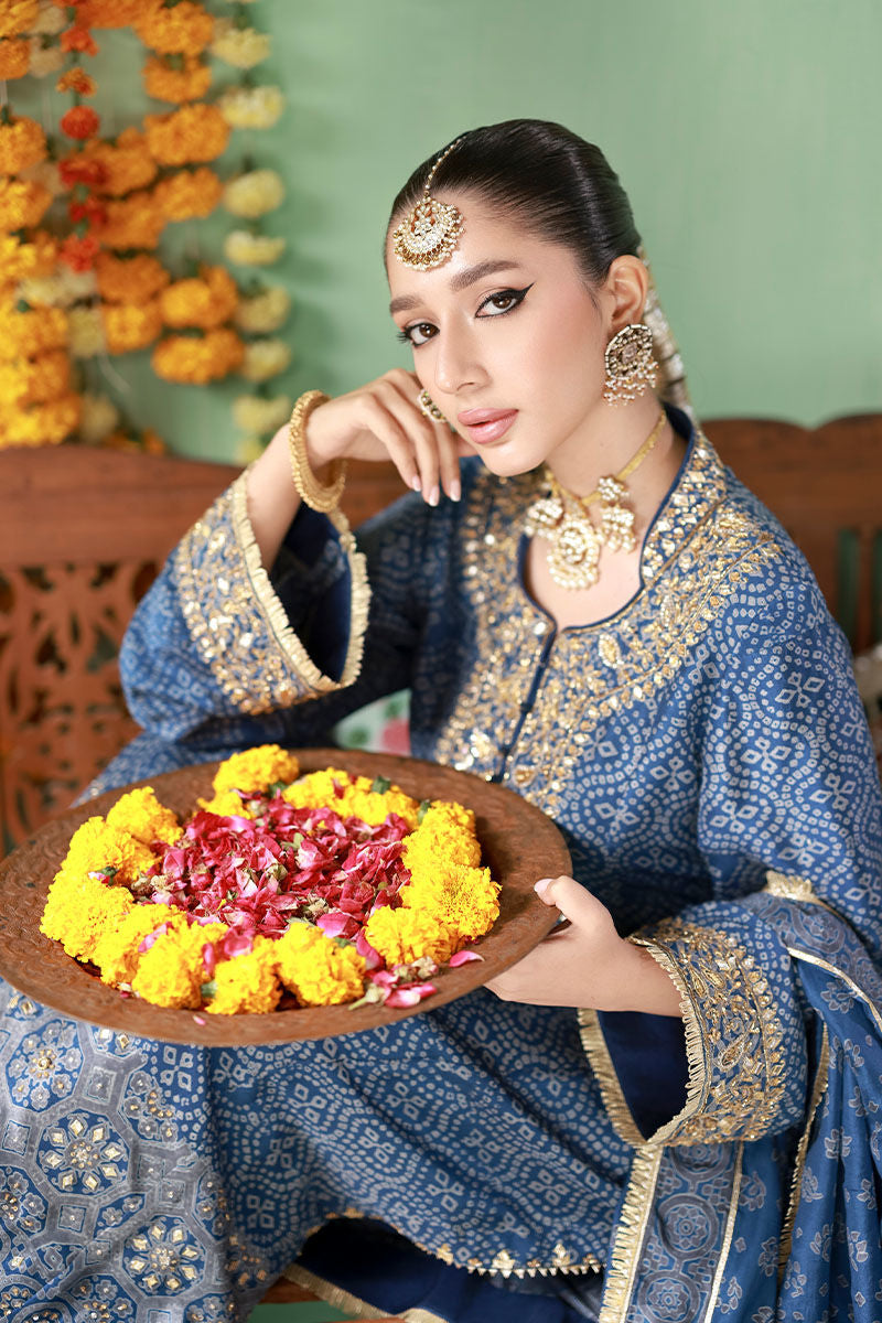 Zohra - The Rani Edit by Ansab Jahangir Studio