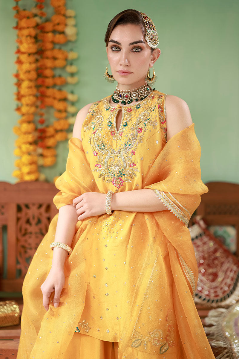 Arooba - The Rani Edit by Ansab Jahangir Studio