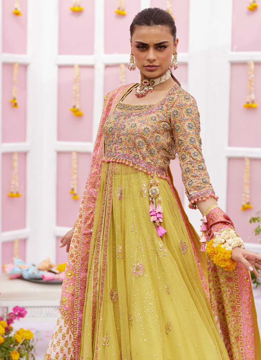 Nura Kiwi Kalidaar - Amaltas 25 by Farah Talib Aziz