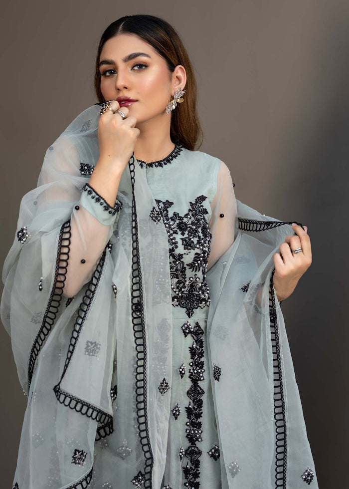 AR2058 - Afsana Festive Formals 22' by Ahmad Raza