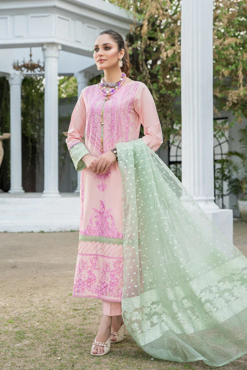 FIDEL - NAAYAS OFFICIAL