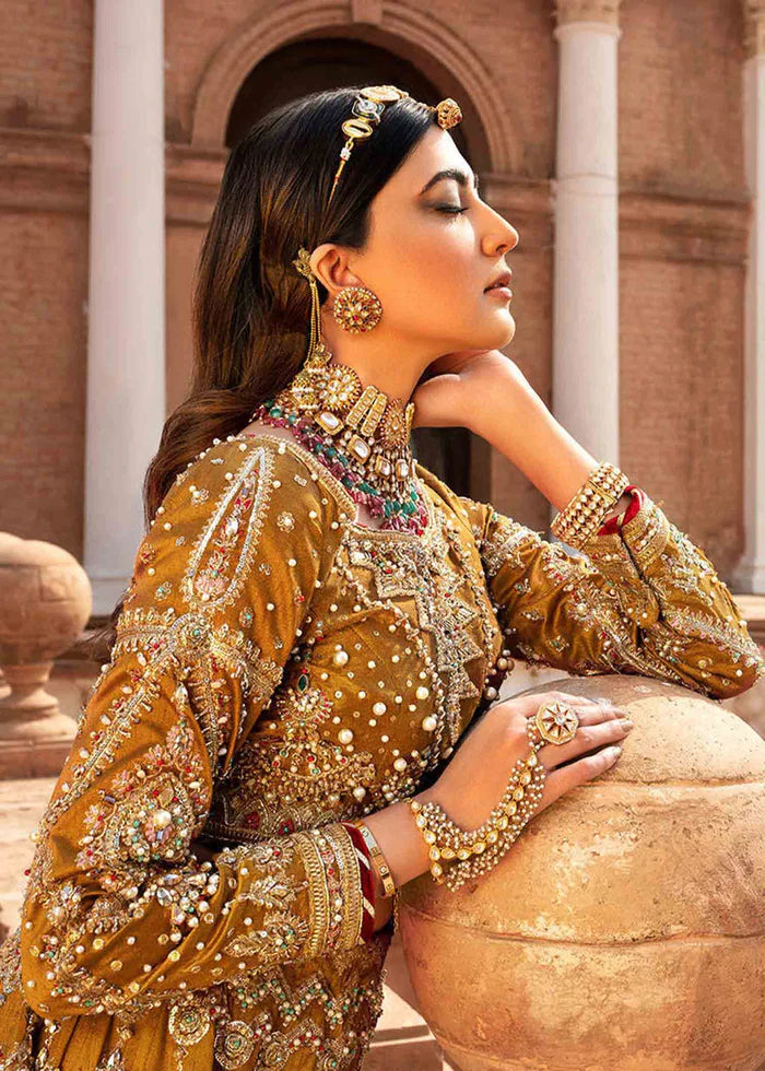 ZAITOON BIBI - Mohsin Naveed Ranjha