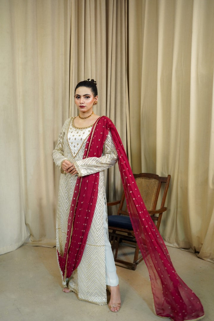 AF 355 Saree Dress Maroon - Vanity by Ainee Faisal