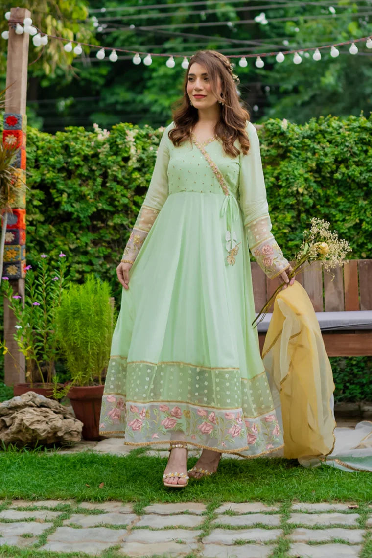 AF 346 Pistachio kalidaar - Ainee Faisal