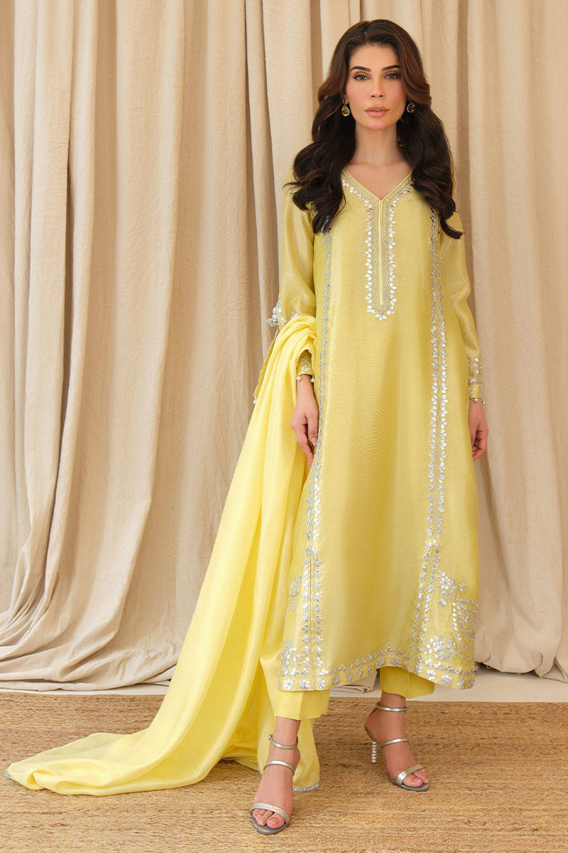 Ziya with pants - Eid Festive 25 by Farida Hasan
