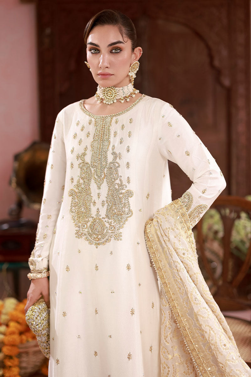 Zainab - The Rani Edit by Ansab Jahangir Studio