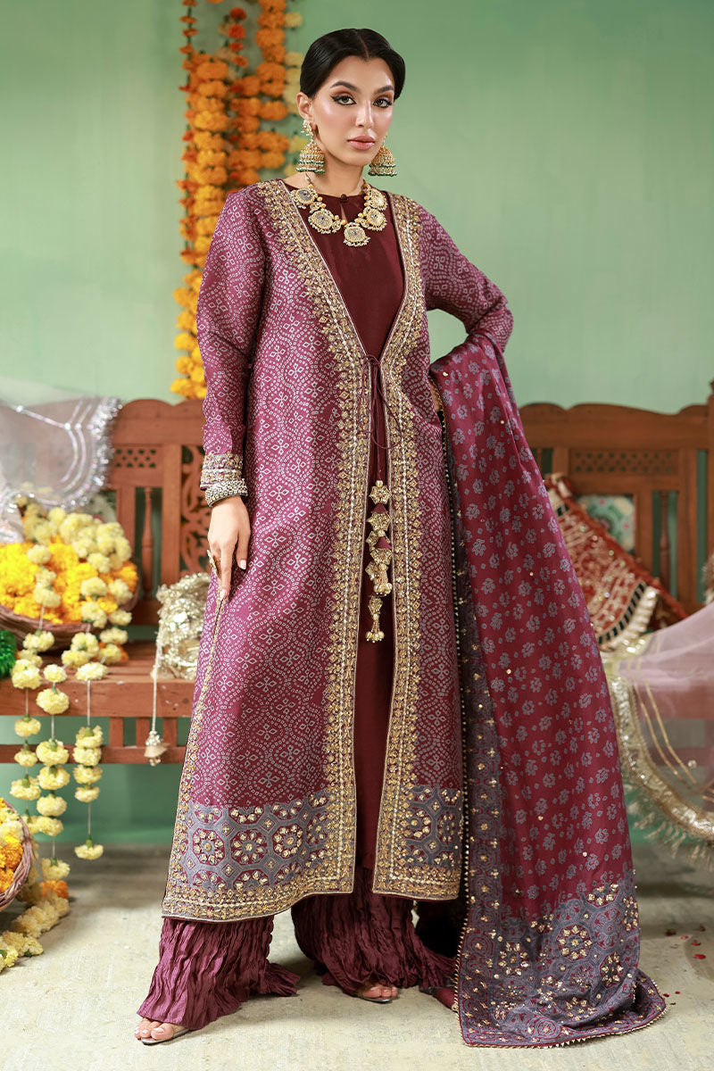 Yasmeen - The Rani Edit by Ansab Jahangir Studio