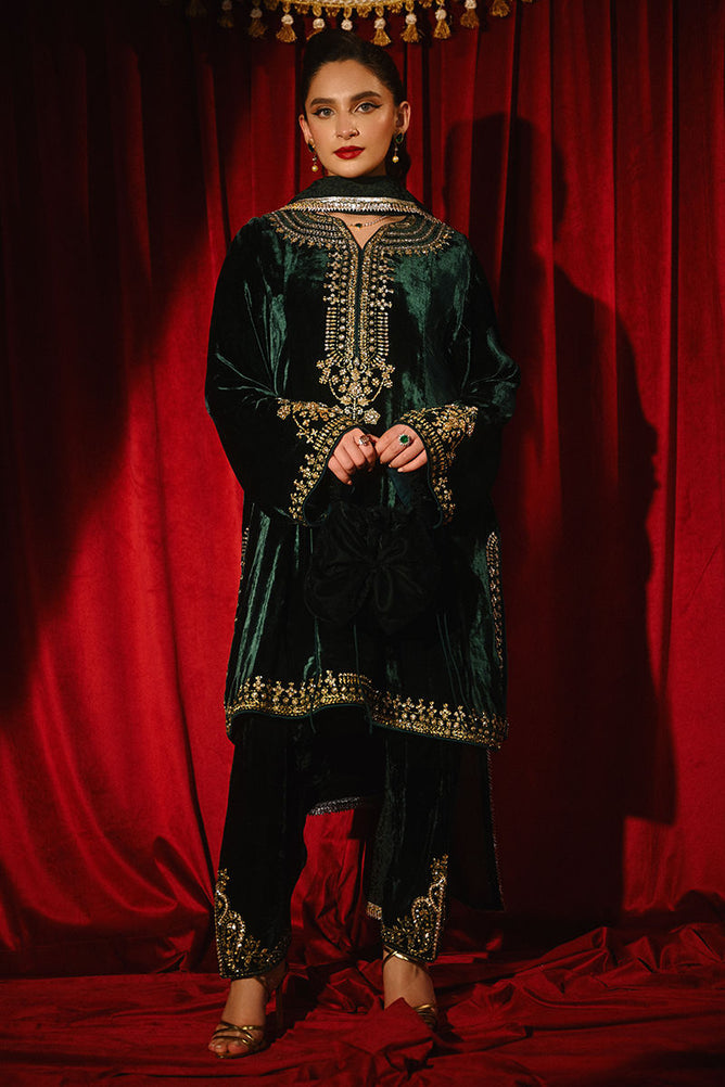 Arlo - Ansab Jahangir