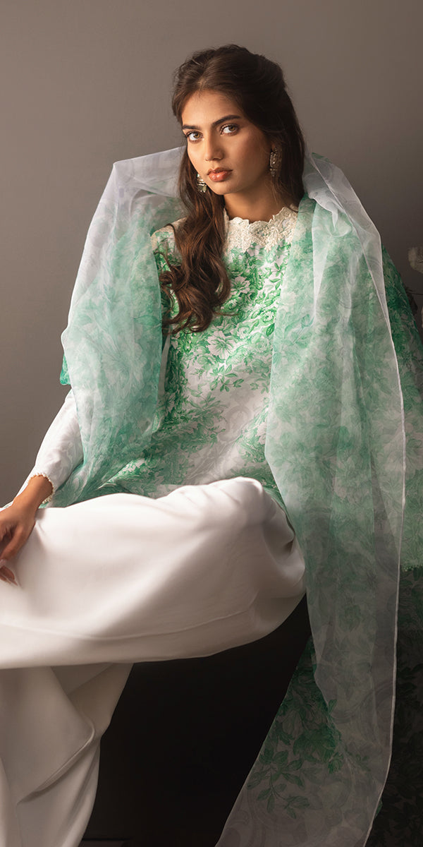 Vivid Elegance - Beyond Basic by Erum Khan