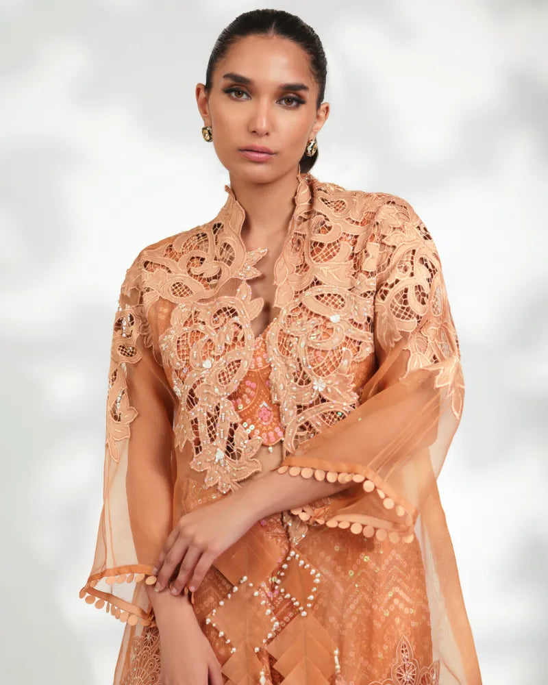 Dalina Long - Festive Formals '24 by Aleena Fareena